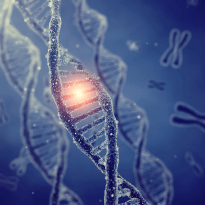 image representing Genetics